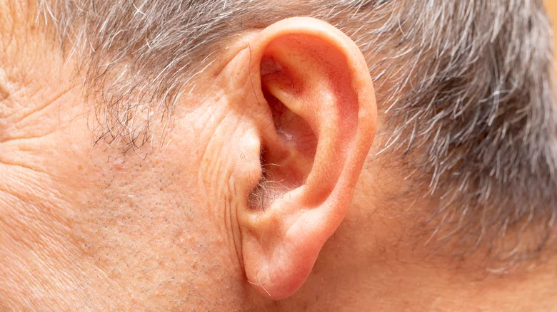 🚨 DID YOU KNOW that if hair grows on your ears, it’s because your body is…see more